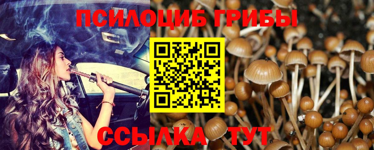 Горячий Ключ  Галлюциногенные грибы Psilocybine cubensis  Вход с VPN  Галлюциногенные грибы мицелий 